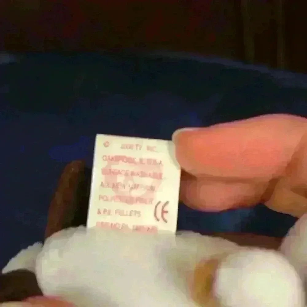 Ty beanie baby